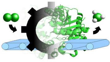 STC 2011 Sursee Logo